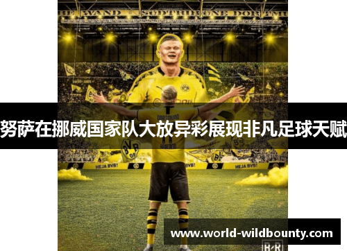 努萨在挪威国家队大放异彩展现非凡足球天赋