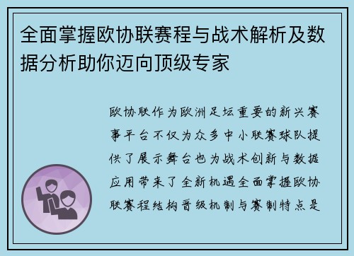 全面掌握欧协联赛程与战术解析及数据分析助你迈向顶级专家