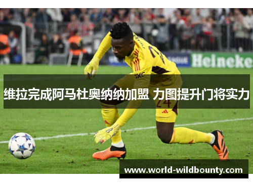 维拉完成阿马杜奥纳纳加盟 力图提升门将实力 维拉完成阿马杜奥纳纳加盟 力图提升门将实力
