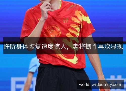 许昕身体恢复速度惊人，老将韧性再次显现